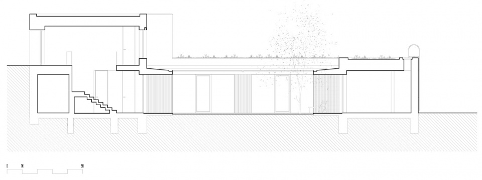 rdo house by cechvala architects