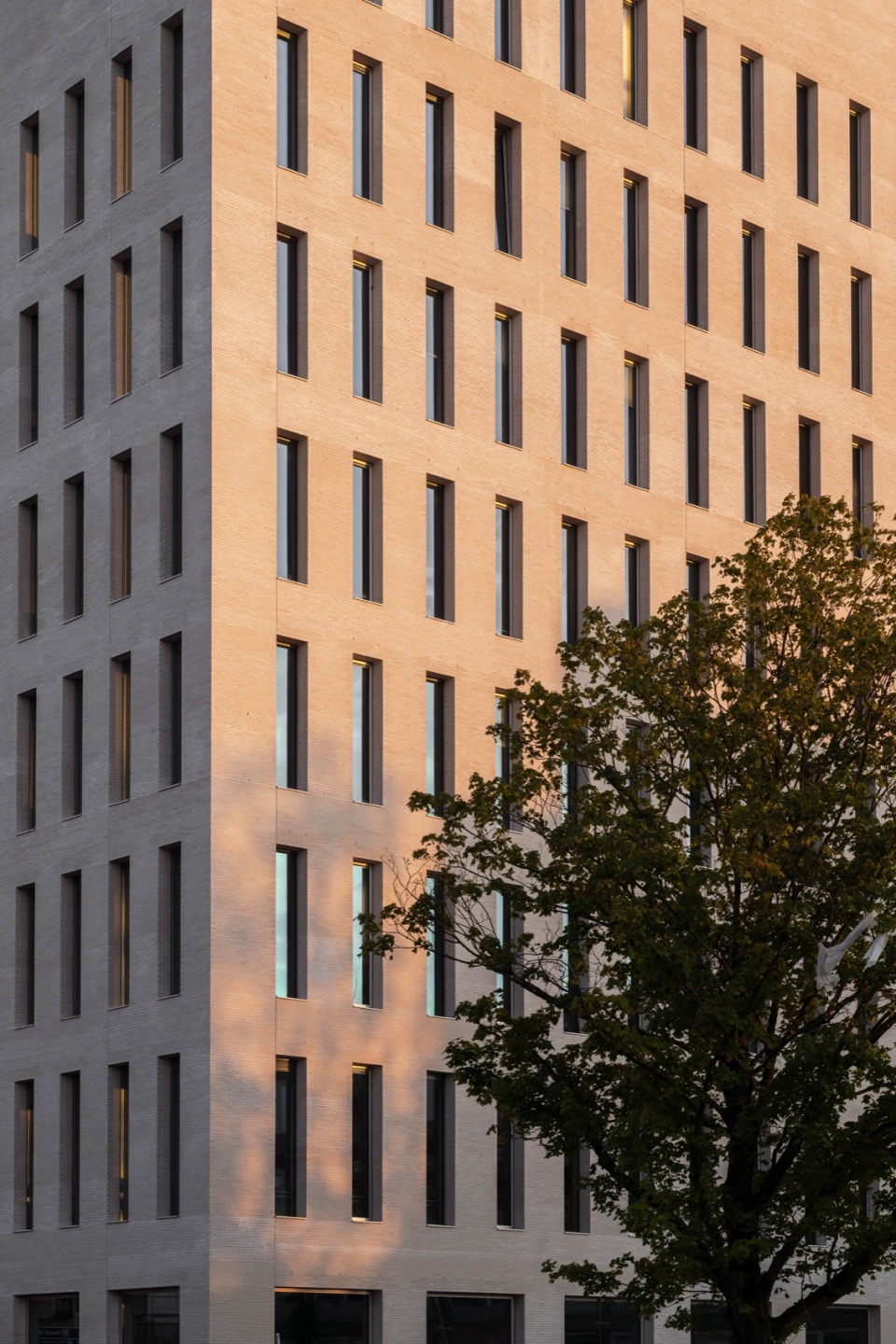 Education Centre University of Groningen by KAAN Architecten