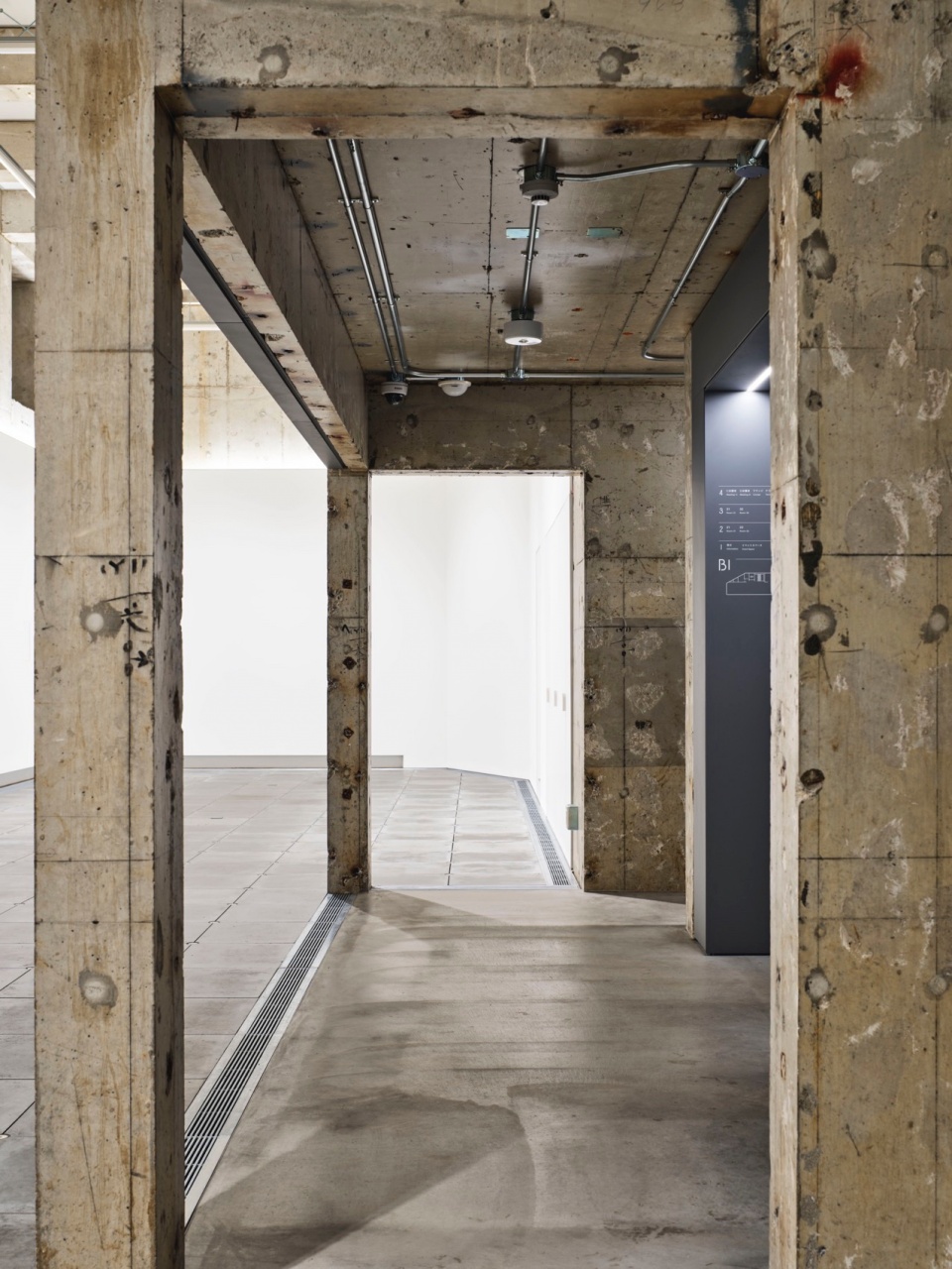 Kuwasawa design School 2 moss