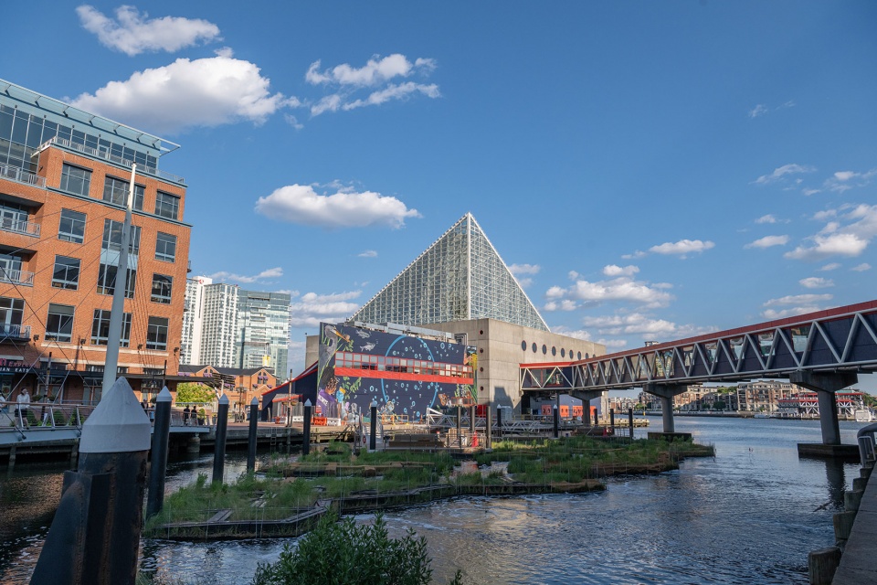 national aquarium harbor wetland by ayers saint gross