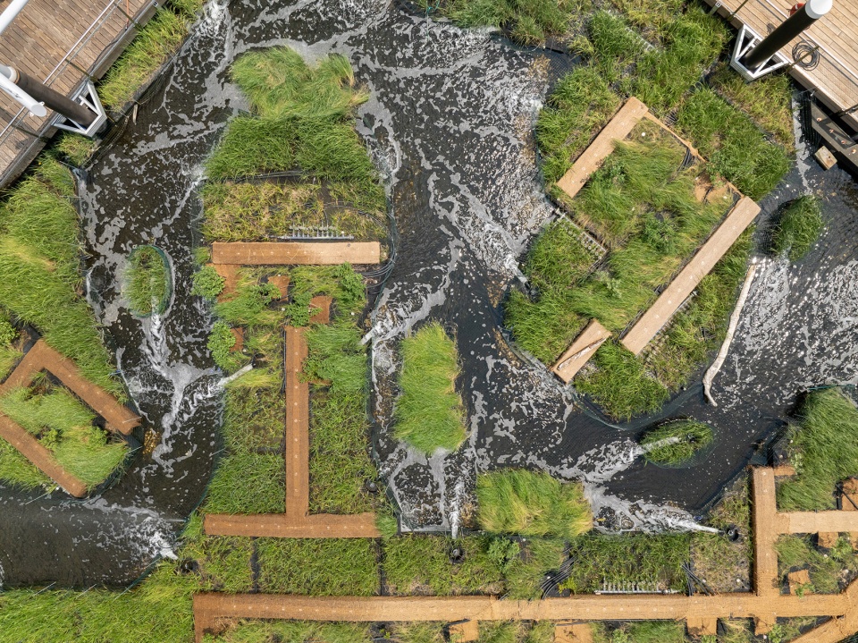 national aquarium harbor wetland by ayers saint gross