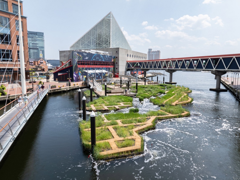 national aquarium harbor wetland by ayers saint gross