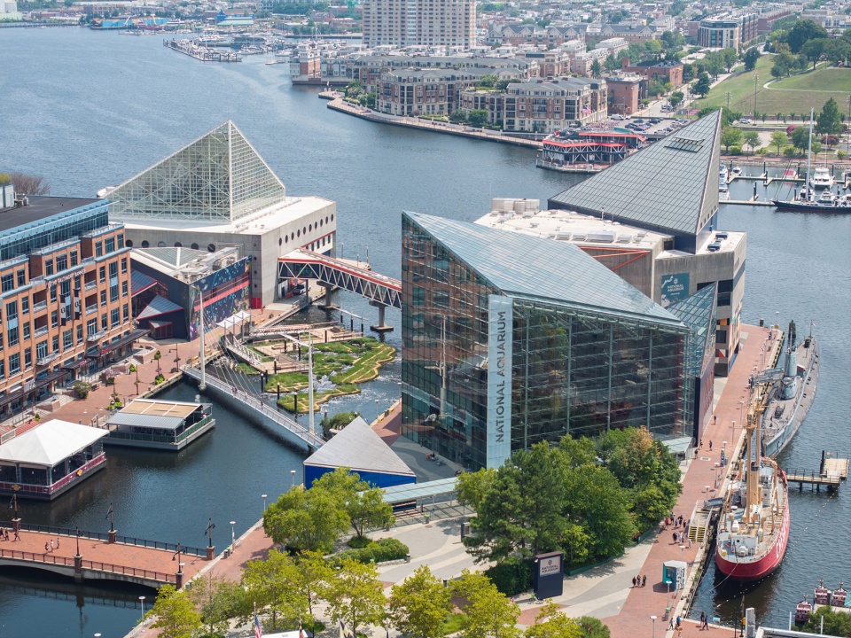 national aquarium harbor wetland by ayers saint gross