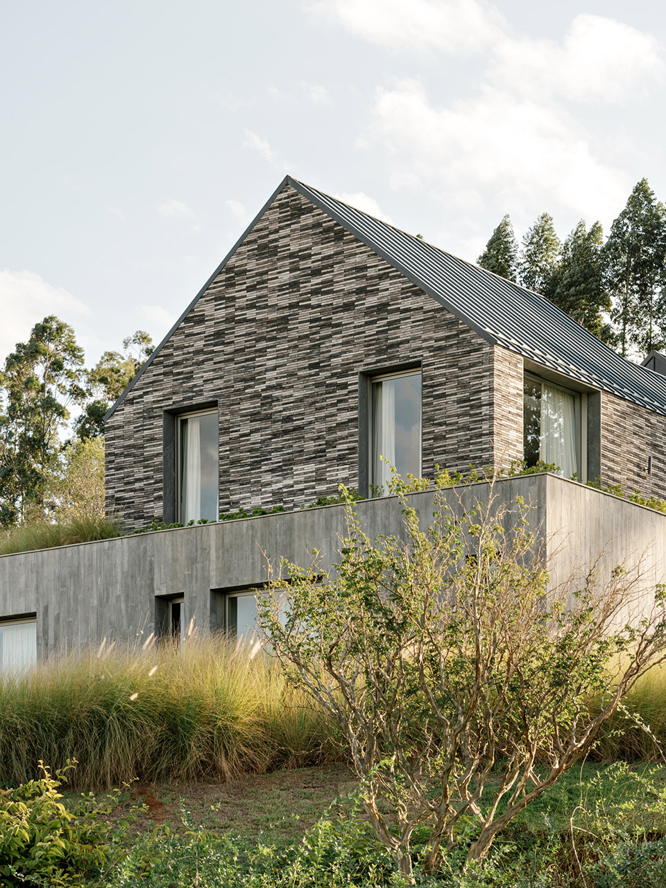 CCB House by Kiko Salomão + Tanaka Architects - 谷德设计网