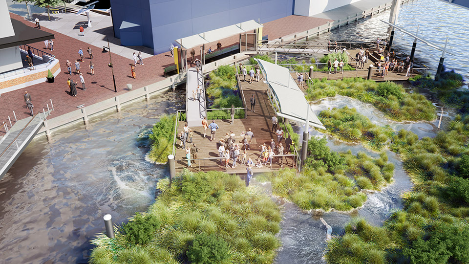 national aquarium harbor wetland by ayers saint gross