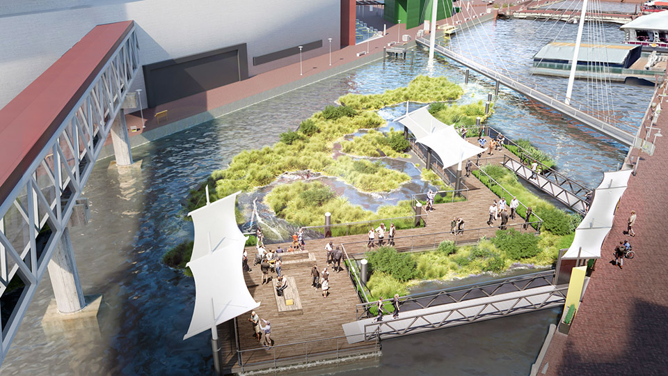 national aquarium harbor wetland by ayers saint gross