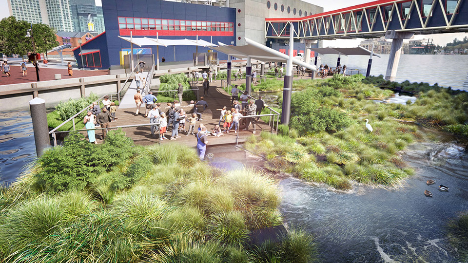 national aquarium harbor wetland by ayers saint gross