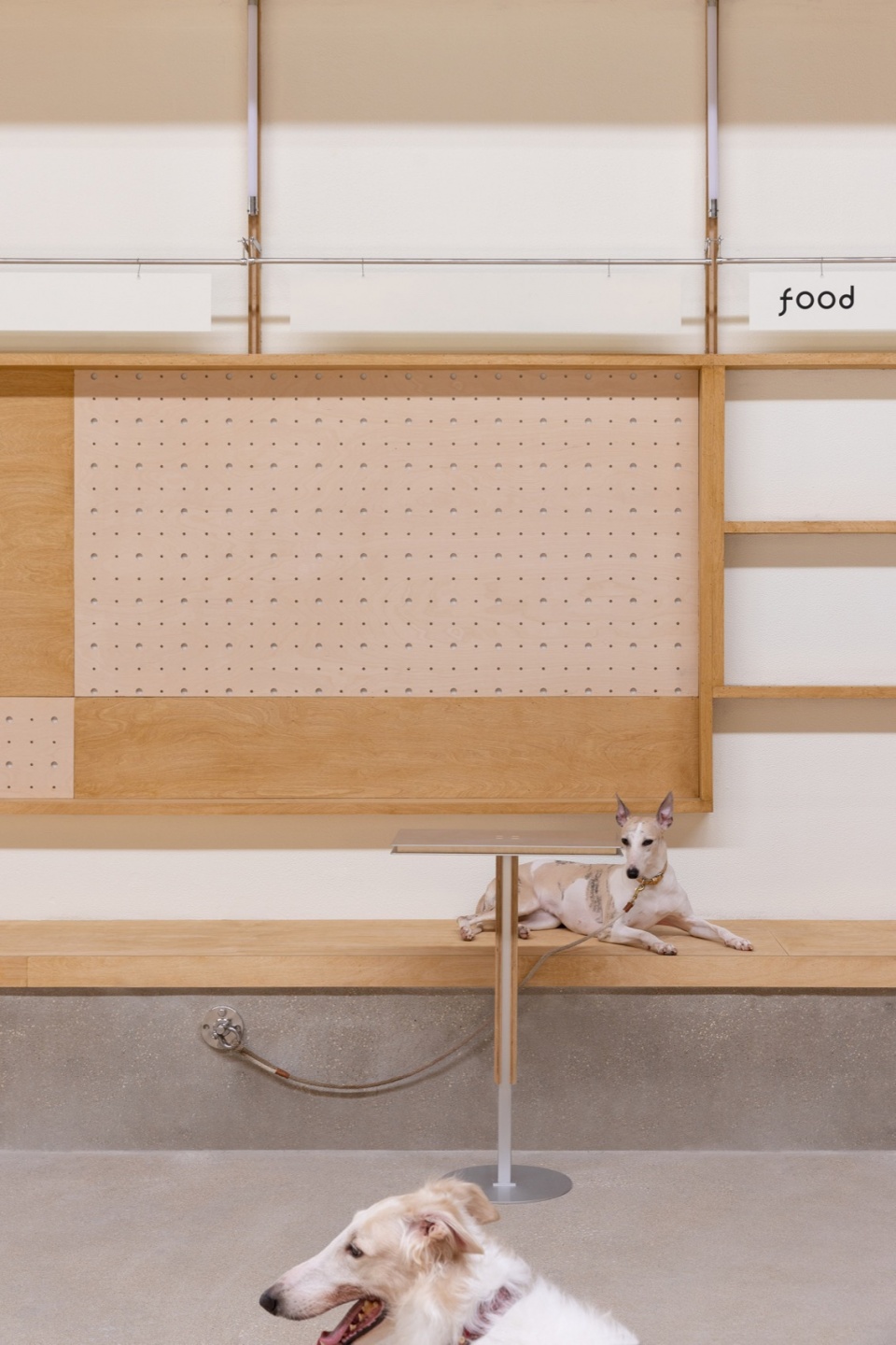 © 黑水 healing pets by informal design