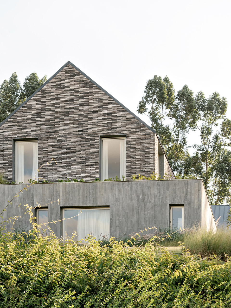ccb house by kiko salomao tanaka architects