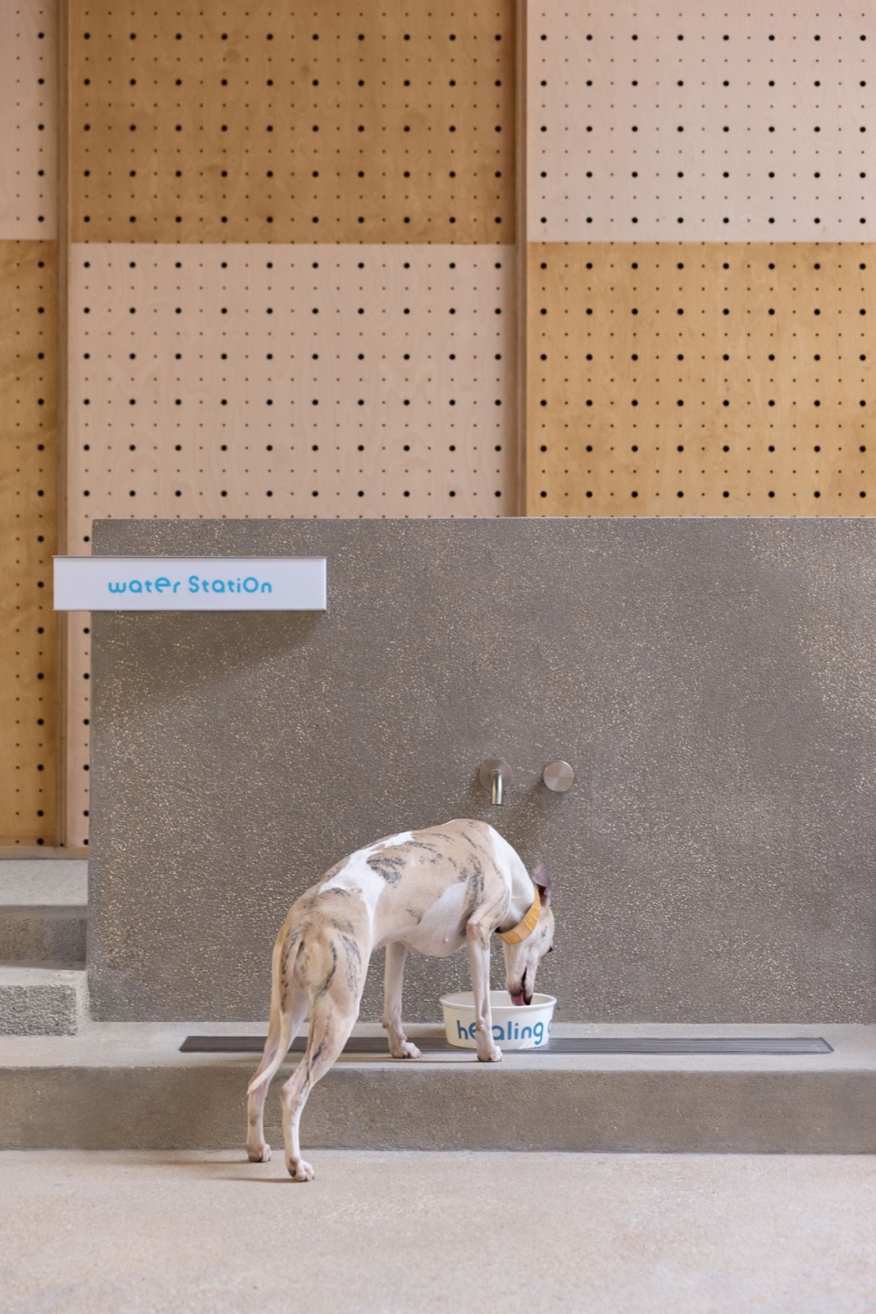© 黑水 healing pets by informal design