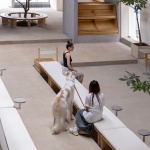 healing pets人宠社交空间，杭州 / Informal异规设计