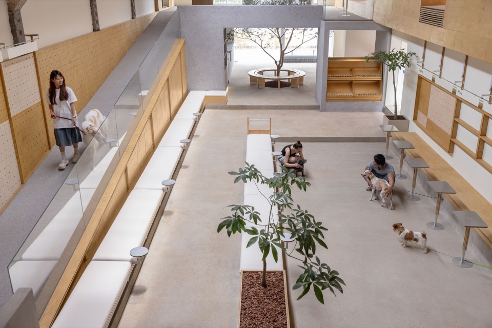 © 黑水 healing pets by informal design
