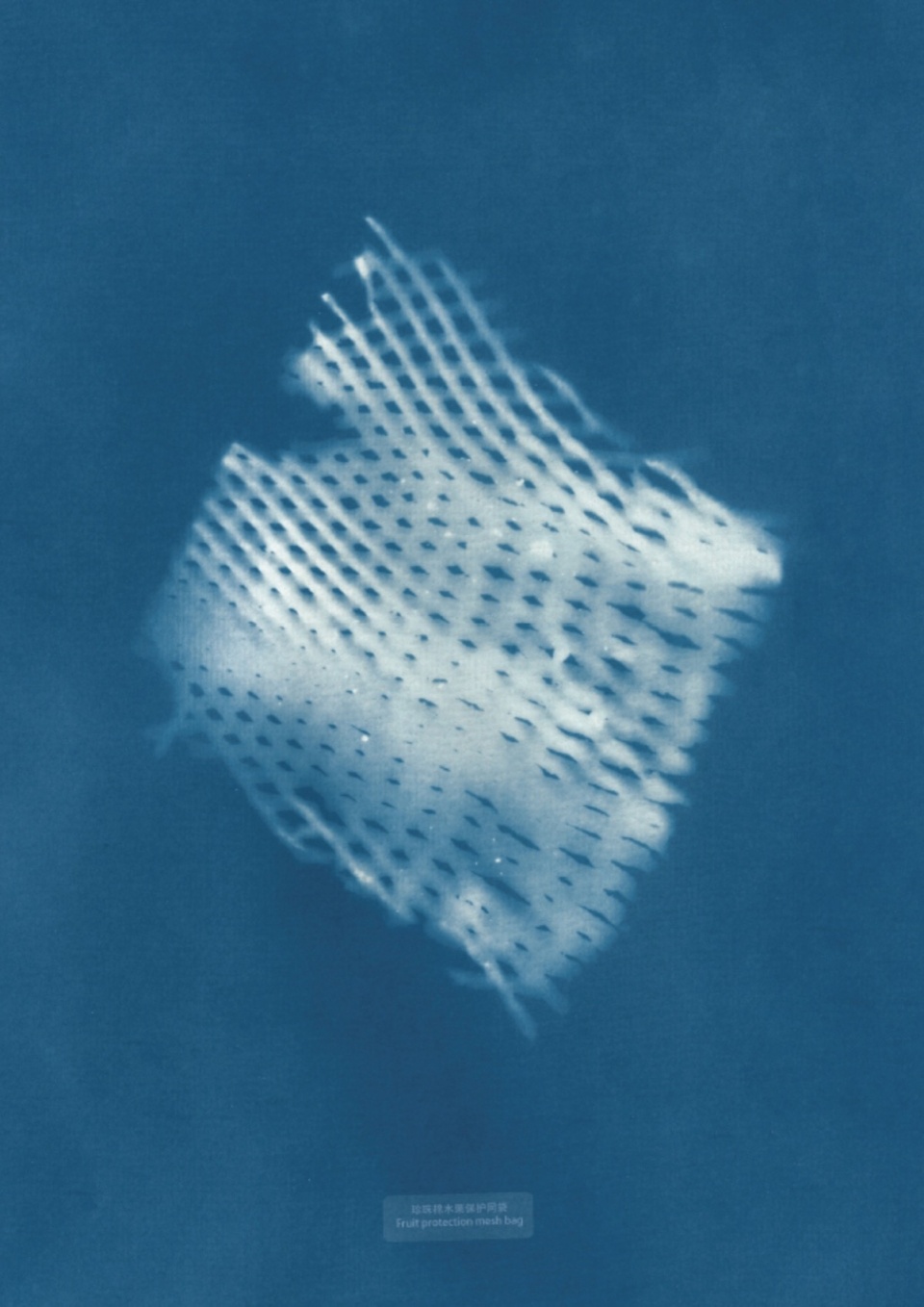 Content of the project Fruit protective mesh bag photographs of shenzhen marine fabric