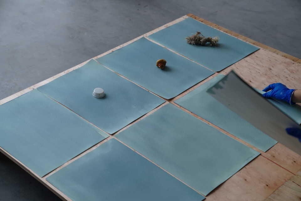 process of cyanotype 1 photographs of shenzhen marine fabric