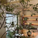 寺下有亭，北京 / 向量建筑