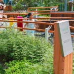 环蠡湖景区范围整治提升，无锡 / AECOM