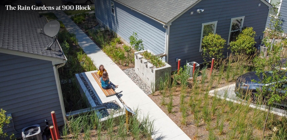 2023 ASLA RESIDENTIAL DESIGN AWARD OF EXCELLENCE The Rain Gardens at 900 Block by Gresham Smith lwx
