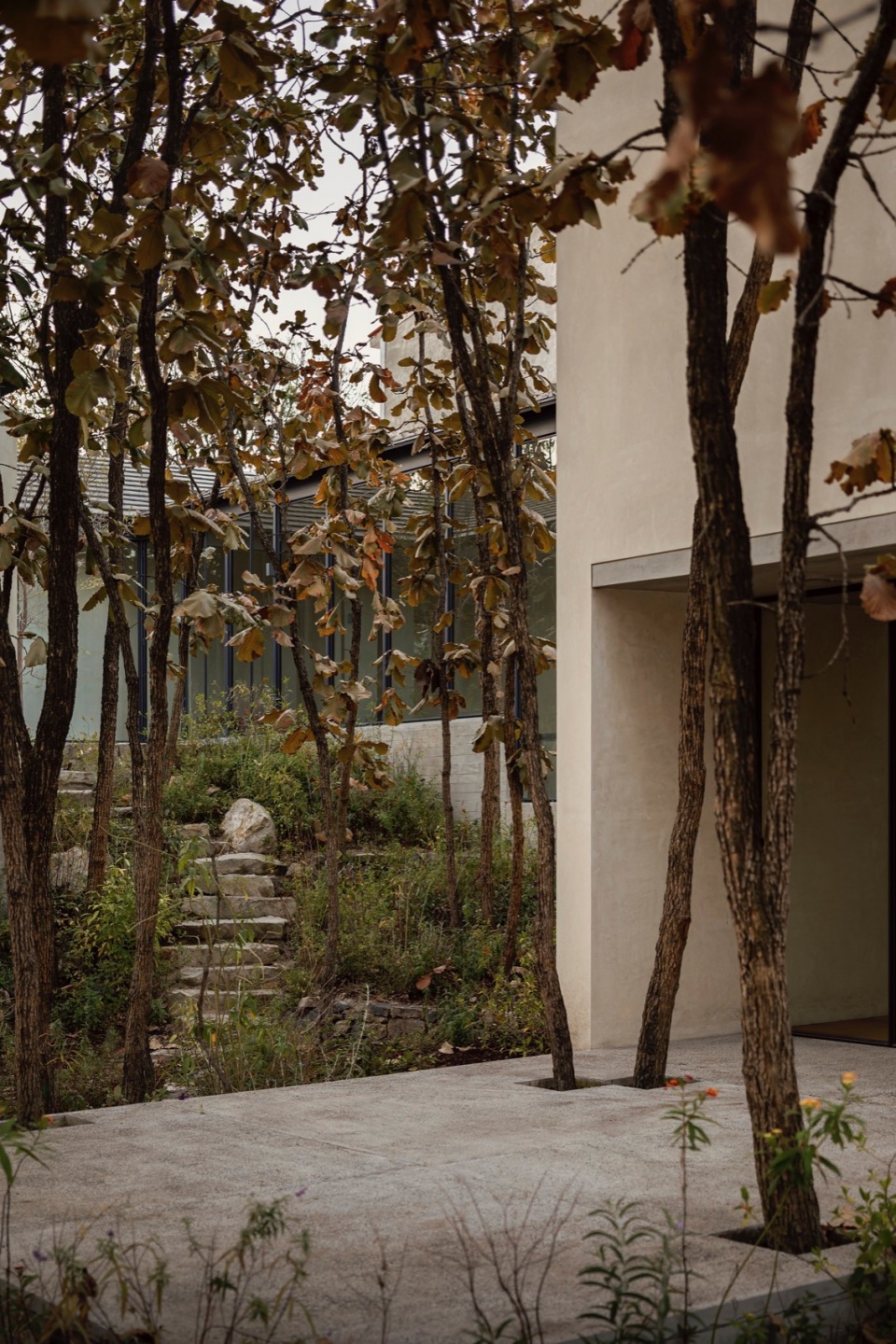 Casa Caribu by Taller Tequio