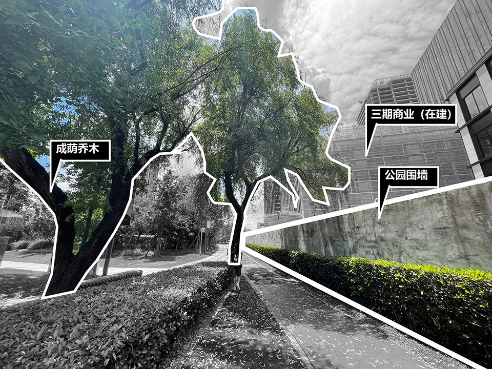 the urban carpet by atelier scale