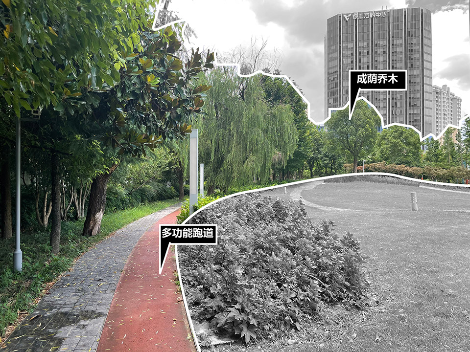 the urban carpet by atelier scale