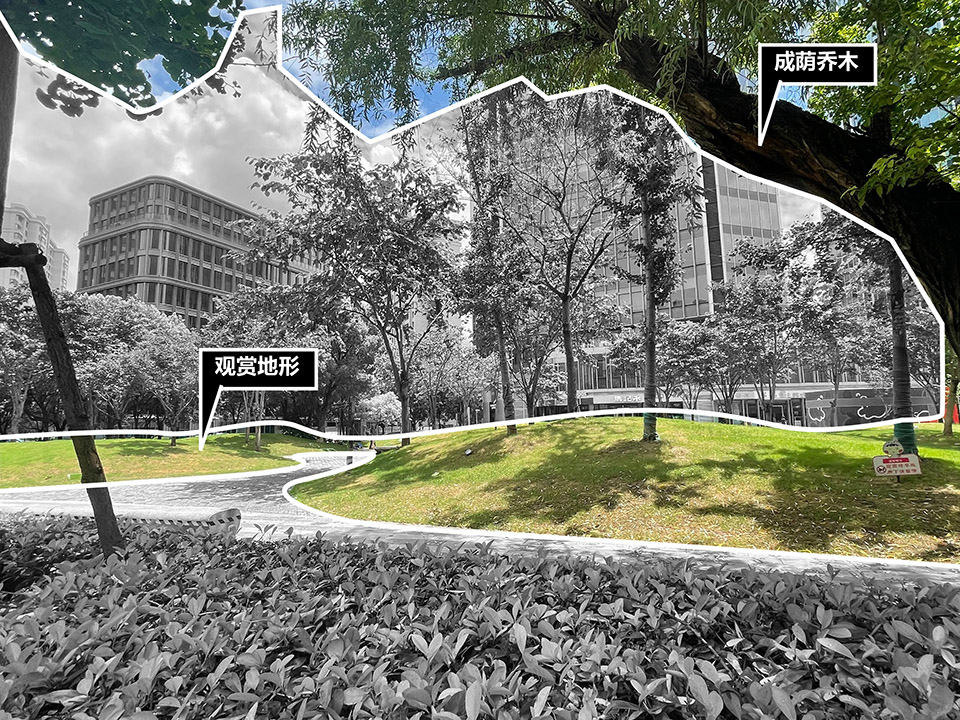 the urban carpet by atelier scale