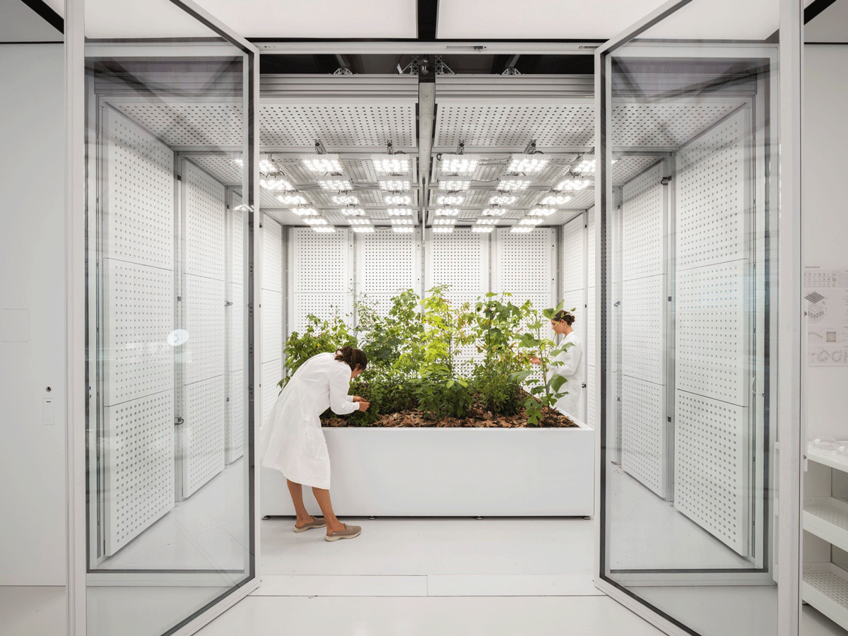 OXMAN headquartered in New York City by Foster Partners