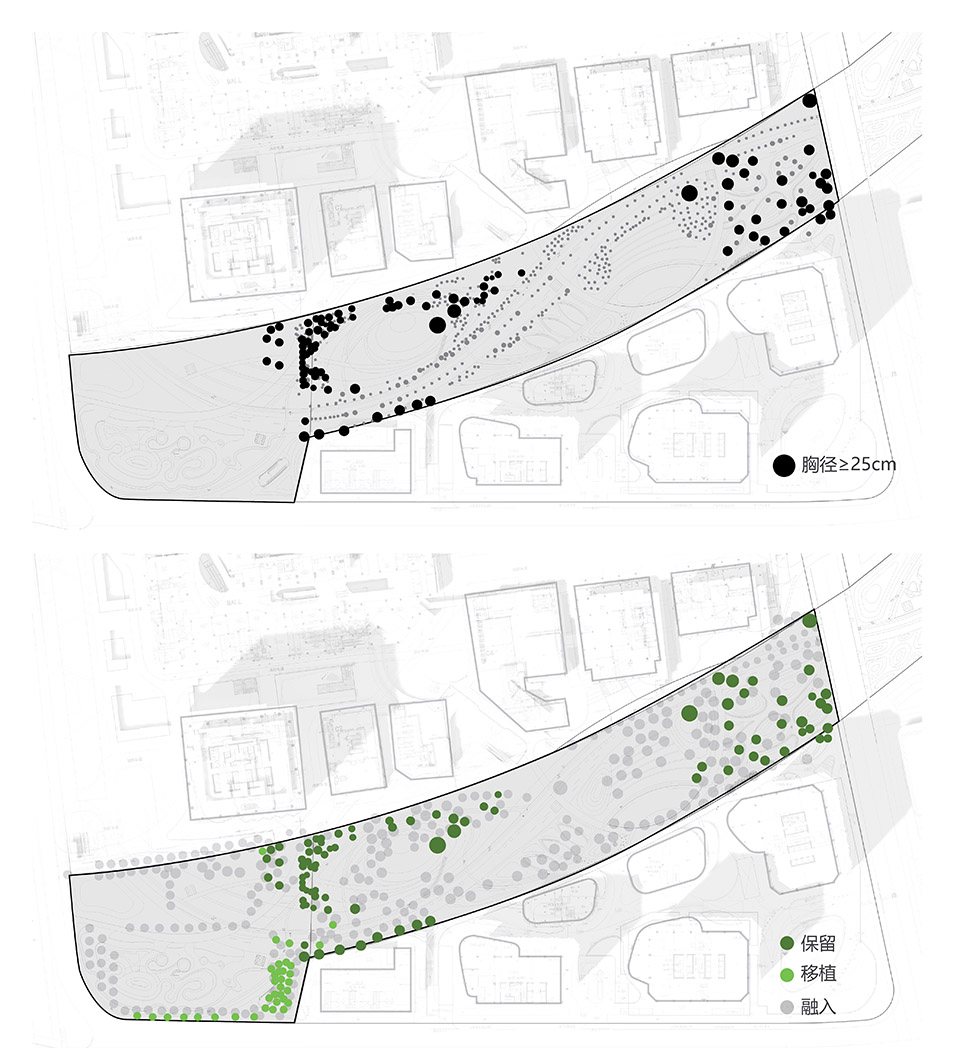 the urban carpet by atelier scale
