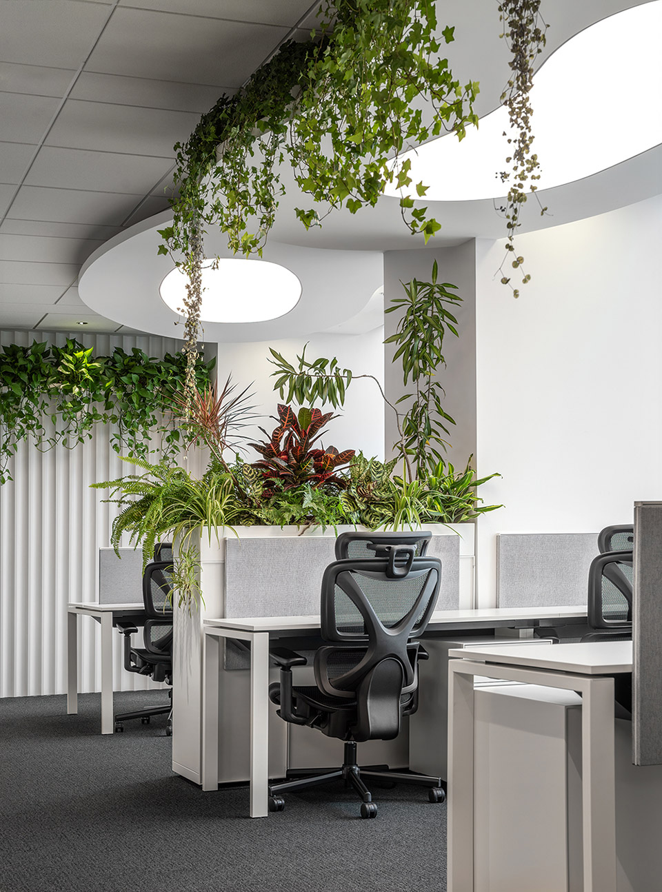 kingland partners law firm by ujing interior design