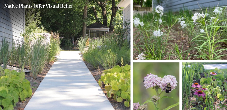 2023 ASLA RESIDENTIAL DESIGN AWARD OF EXCELLENCE The Rain Gardens at 900 Block by Gresham Smith