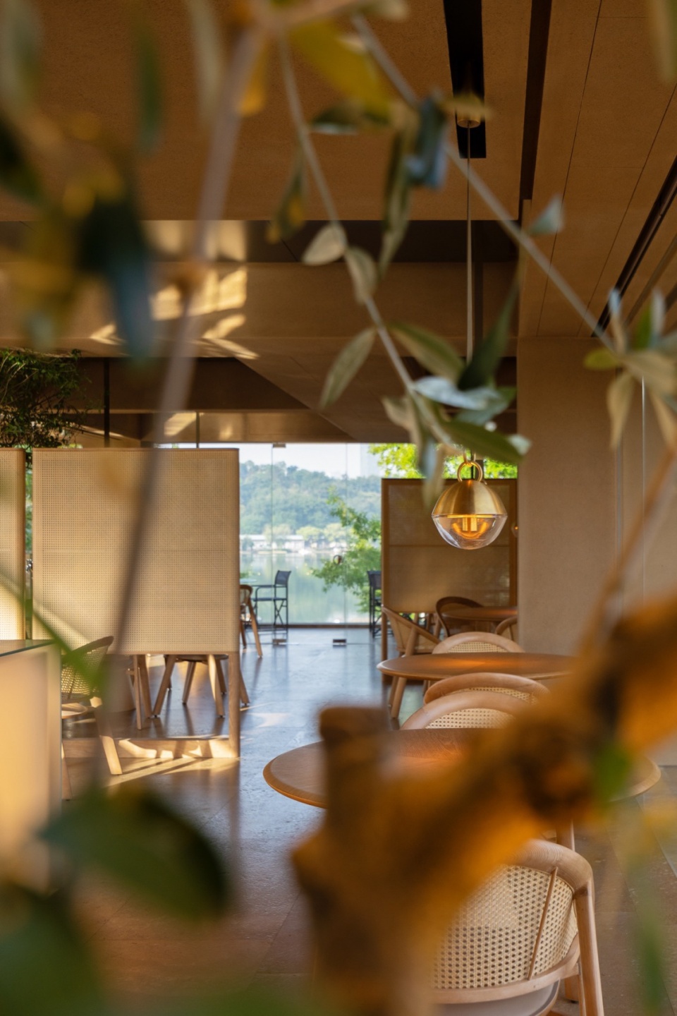 PICAPICA DOMANI Architectural Concepts
