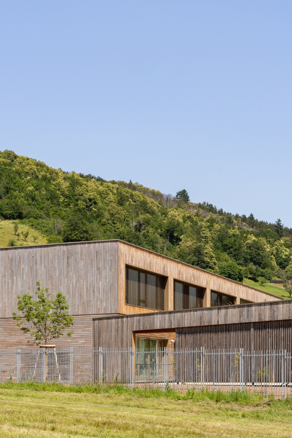 School of Honcourt f f architectes