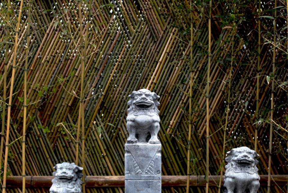 A Small Courtyard China by COLORFULL YUJING