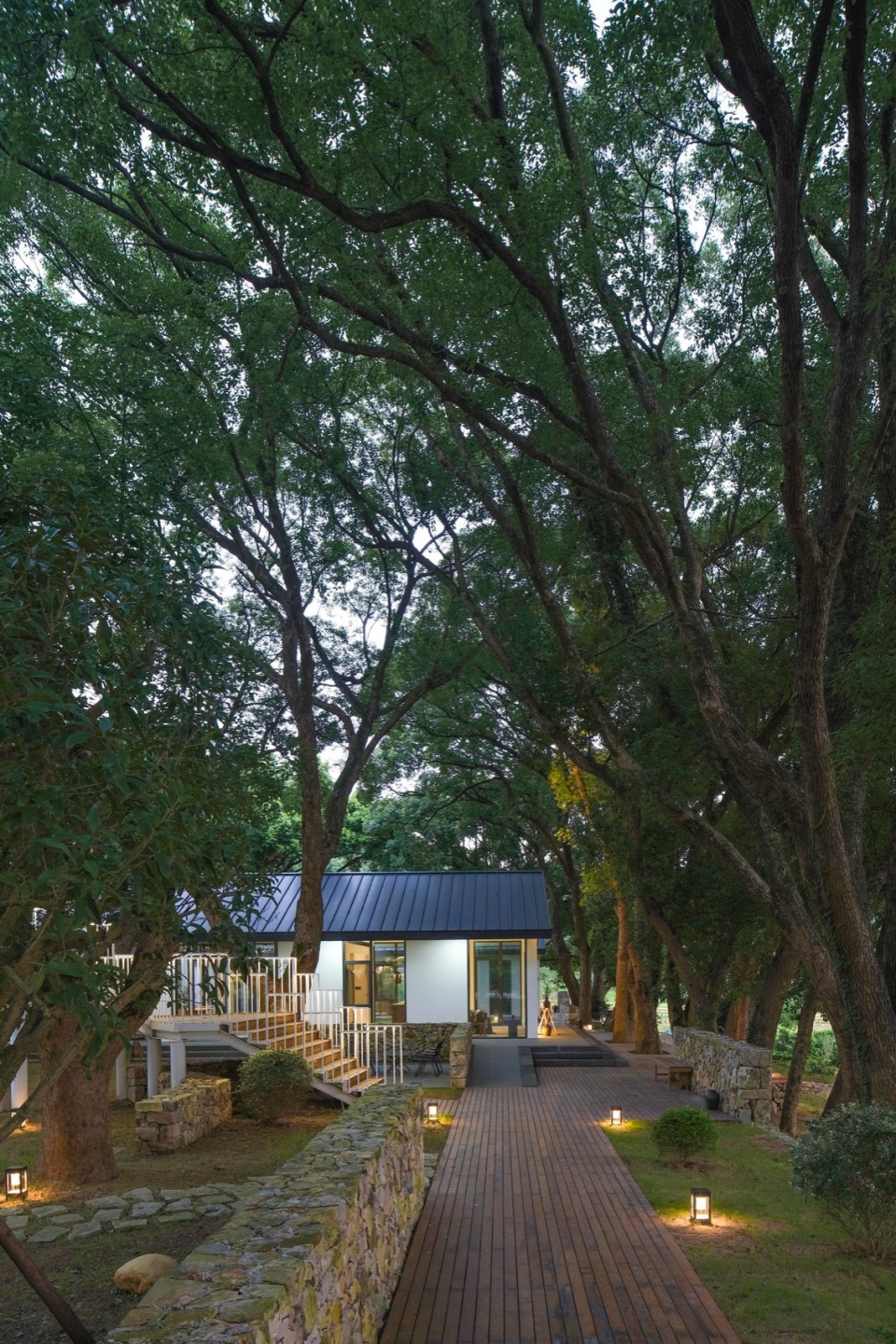 Healing Hills Villa