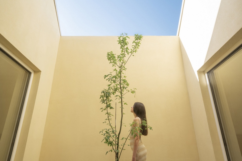 twin hous by wy design