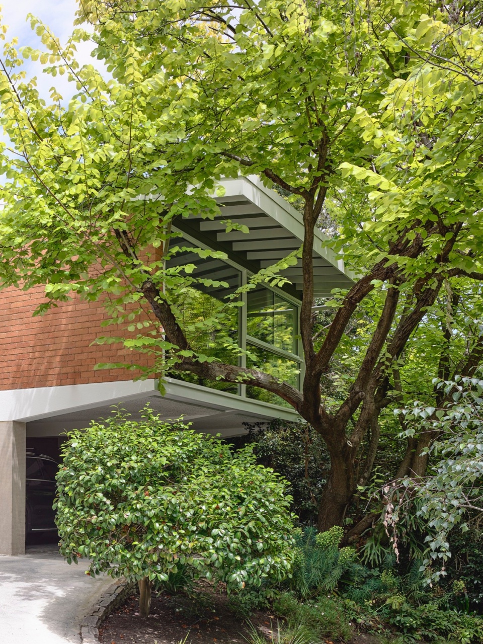 connected house by albert mo architects