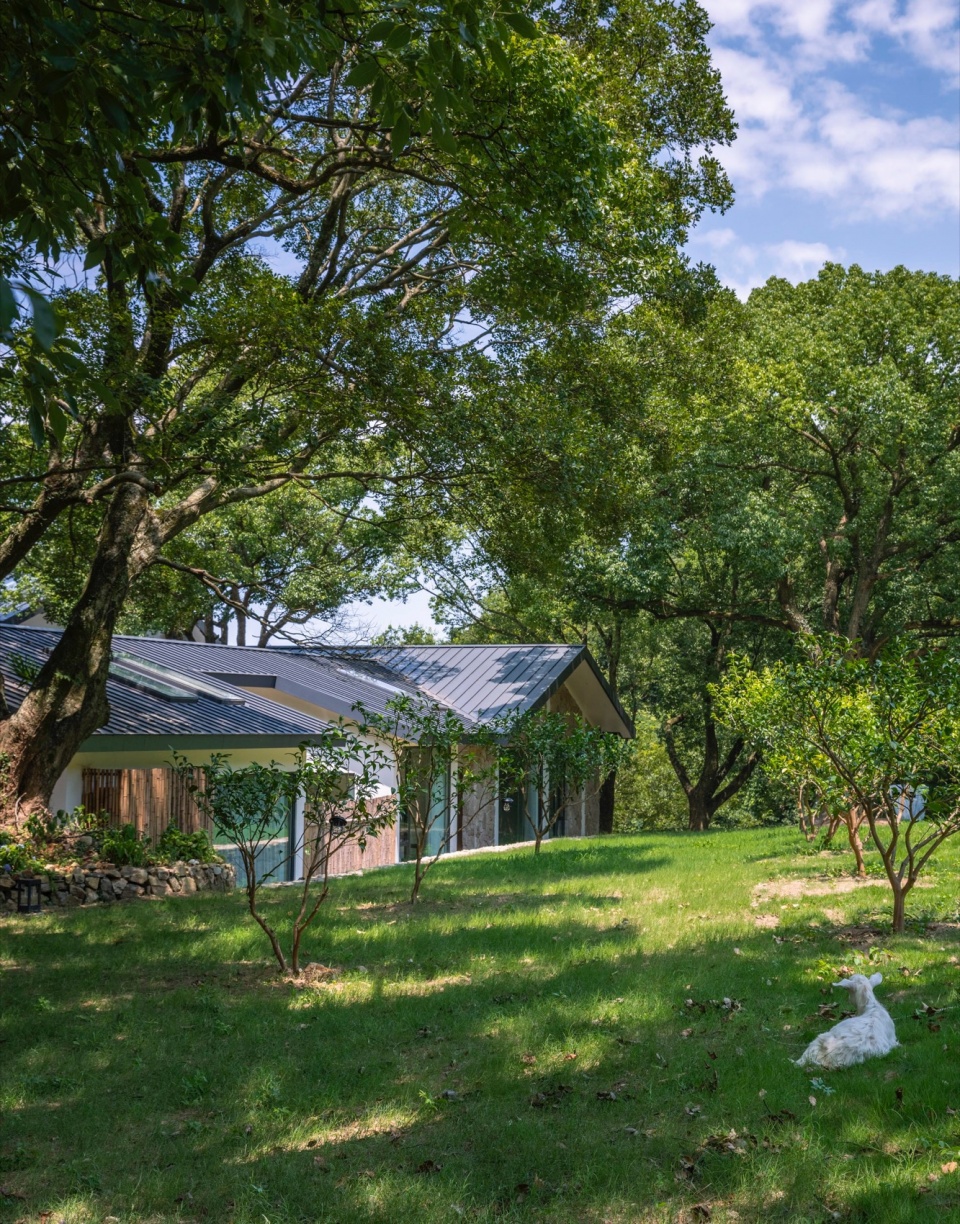 Healing Hills Villa