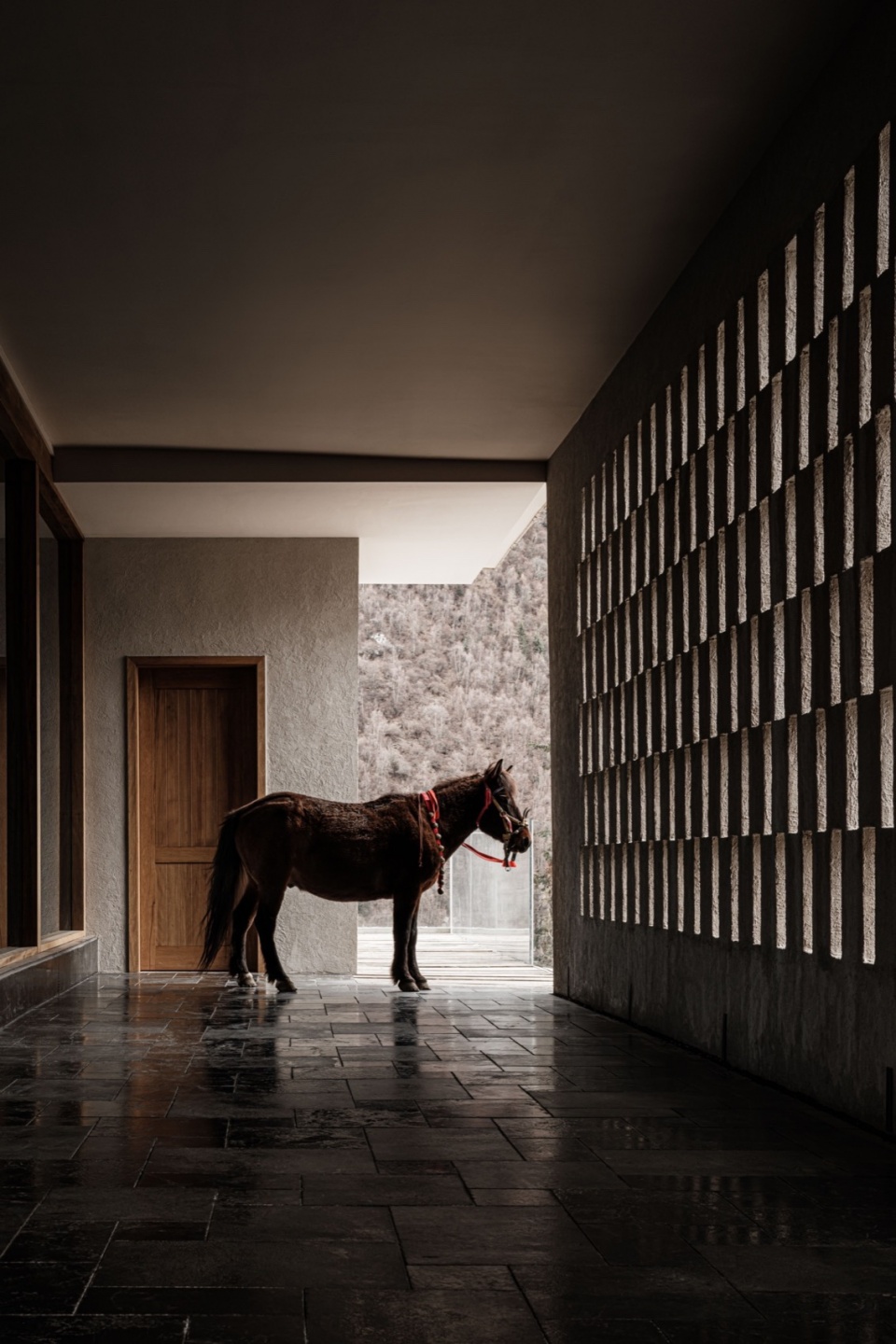 xingshan yueying homestay