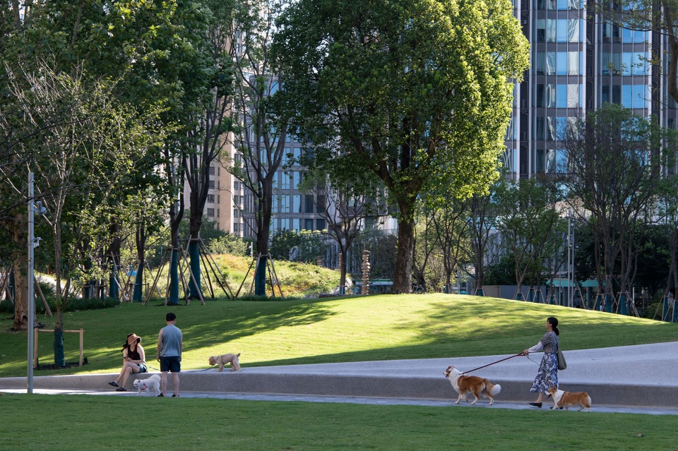the urban carpet by atelier scale