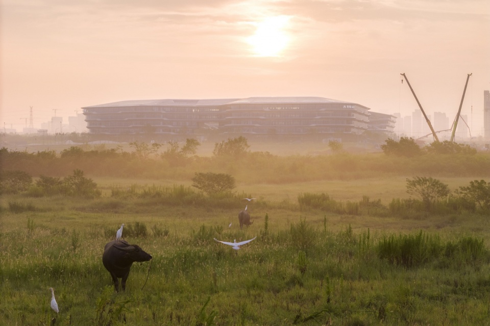 iFLYTEK AI Headquarters Campus Phase 1 by Meng Fanhao line studio
