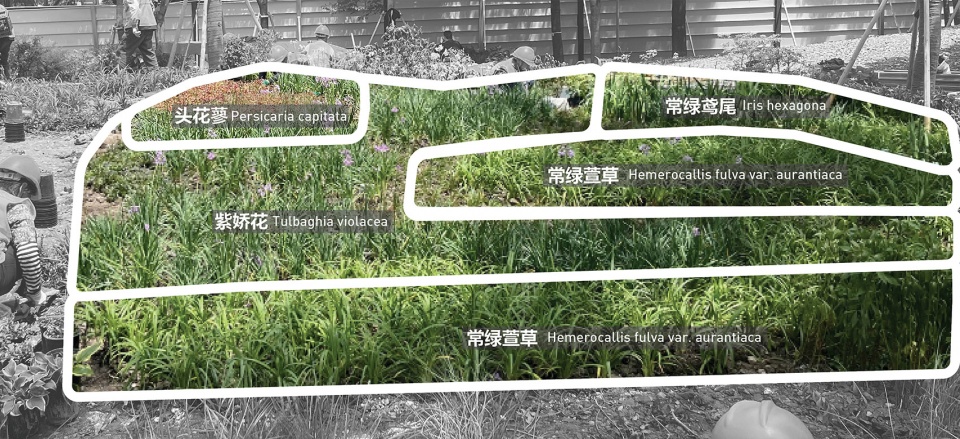 the urban carpet by atelier scale