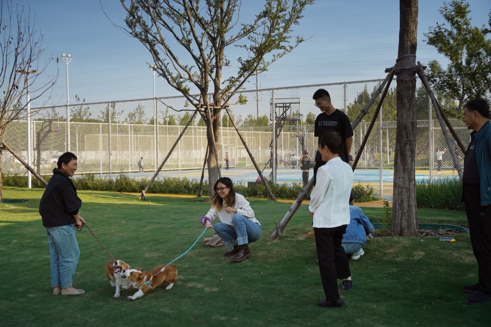 jining wenshang yinxing park by ged