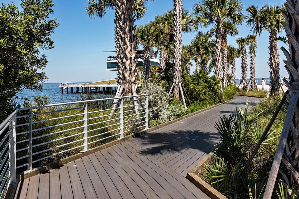St Pete Pier Coastal Thicket
