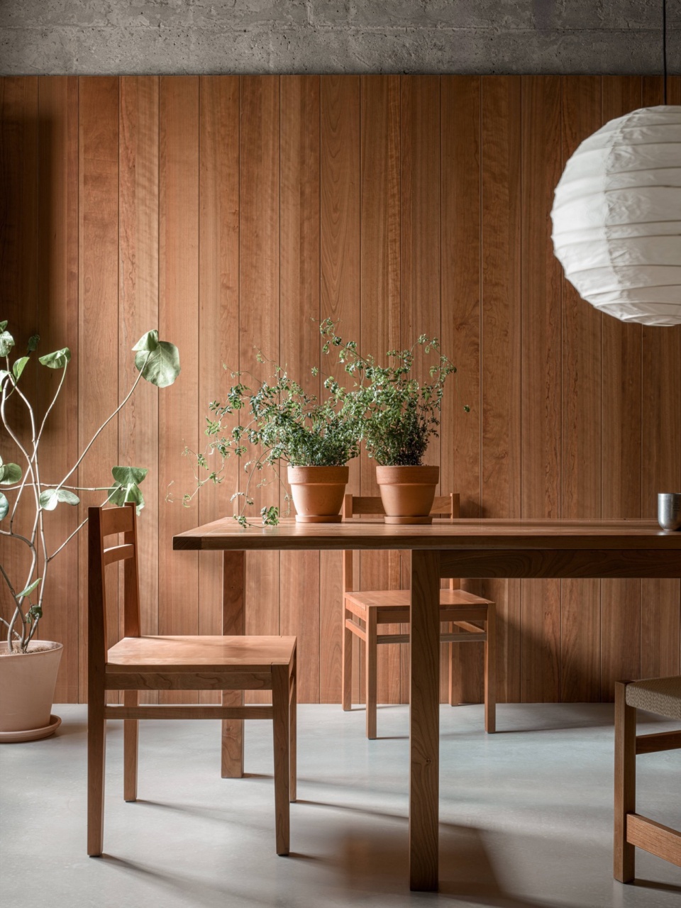 wooden structure in concrete by wuy architects