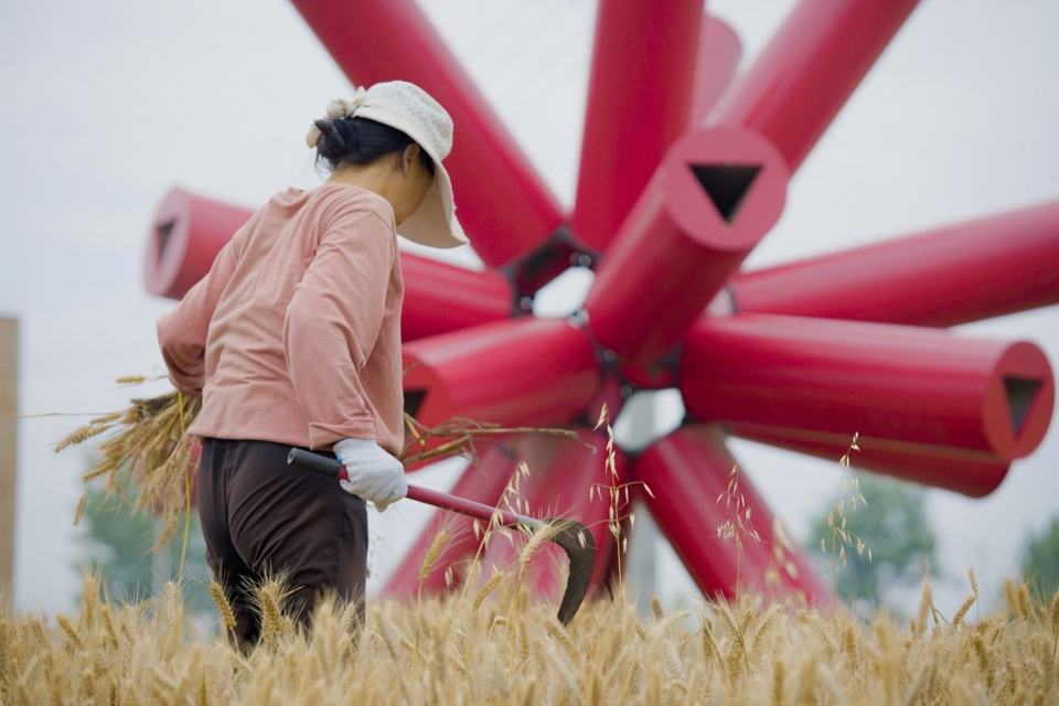 View of Starburst from wheat field 02©️Guanzhong Mangba Arts Festival