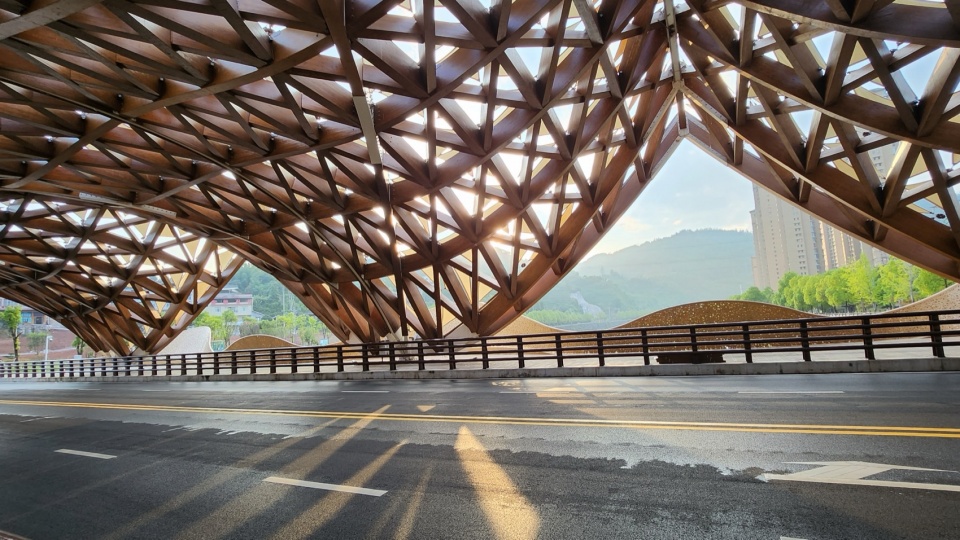 廊桥与光影1 Bridge and LightShadow©赵逵教授工作室 gezihua bridge