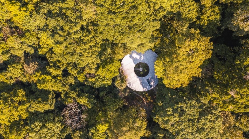 Sinfonia Verde by Studio Saxe