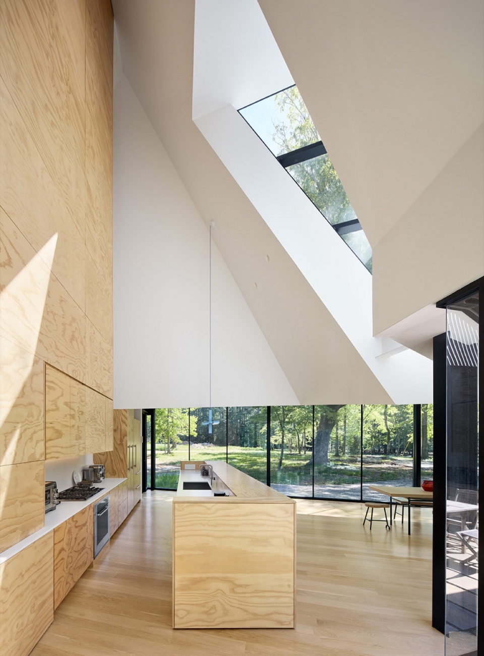 Steeplechase House by Brooks Scarpa