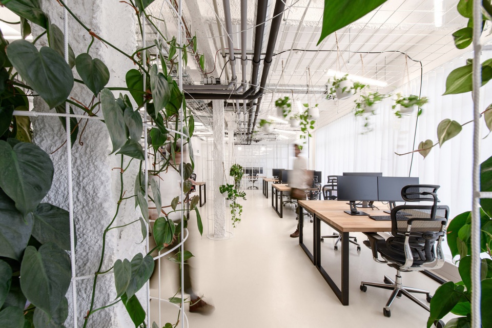 czech promotion offices vol 2 by kurz architects