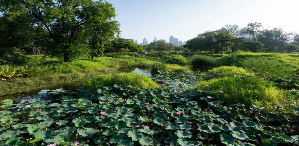 2024 ASLA Benjakitti Forest Park by Turenscape Arsomsilp