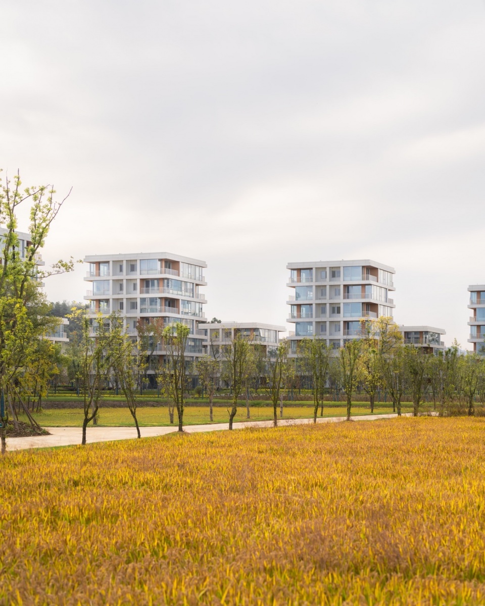 Dongshan Island by MORE Architecture